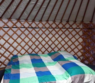 Vierakker Other | Yurt 't Steppenhuisje