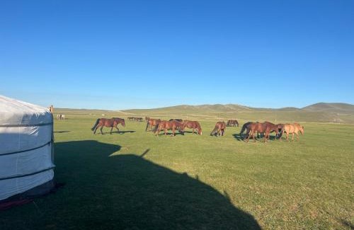 Uvurkhangai Other | Yurts in an Nomadic family
