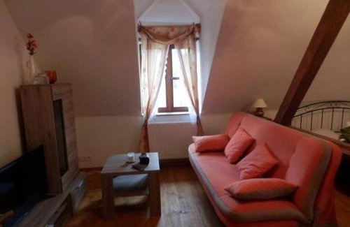 Bujanov Apartment | Zámeček Zdíky - Moderní velký apartmán
