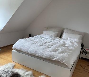 Wipkingen Apartment | Zürich 3 Zimmer Wohnung mit Dachterrasse