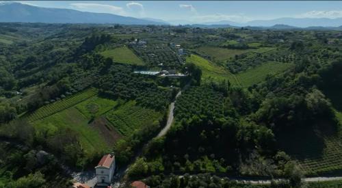Giuliano Teatino House | Za Teresa - Napoleonic Private Resort & Spa - Entire property only