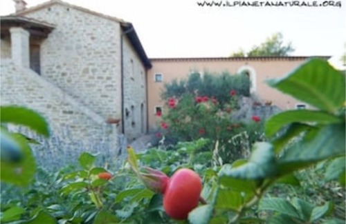 Valfabbrica Apartment | Zafferano, Agriturismo Ca'Mazzetto