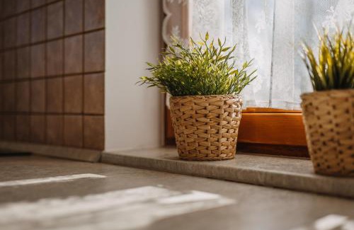 Zalacsany Apartment | Zala Hills Apartman - Batthyány Villapark