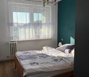 Sanok Apartment | Zamkowa