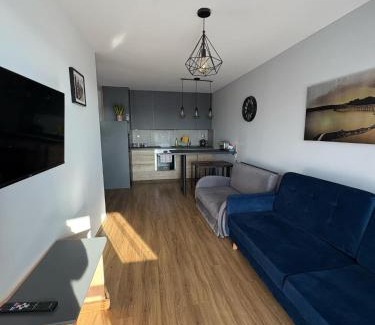 Sanok Apartment | Zamkowa