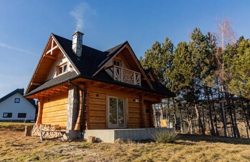 gmina Dobra Ski Chalet | zDrzewaDom