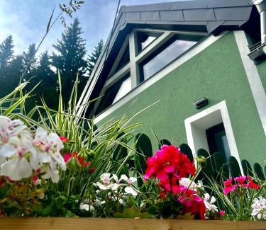 Jachymov Ski Chalet | Zelená chalupa pod Klínovcem