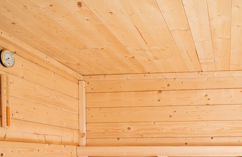 Rheezerveen House | ZEN-Bungalow no 1 with sauna and hottub