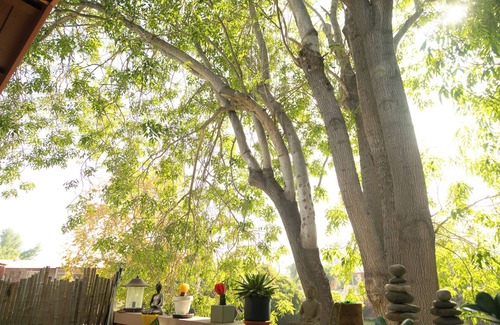 Thousand Oaks Apartment | Zen Bungalow w/King Bed, Parking, Pool, Balcony