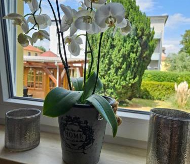 Gotha House | Zentrumsnahes Gästezimmer in Ferienwohnung