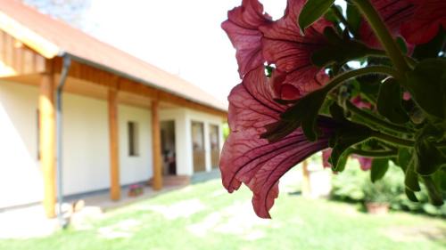 Szilvasvarad House | Zergeboglár Vendégház