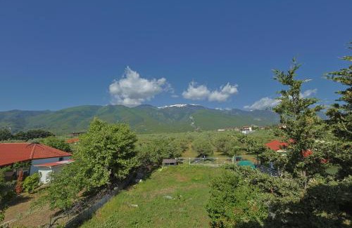 Anatolikos Olimpos Apartment | Zeusplace Jasmine House