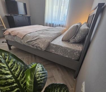 Old Town Apartment | ZIG ZAG apartment 4- Old Town
