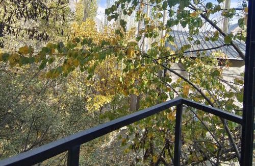 Hunza Ski Chalet | Zihin with Forest view - Cloud Nine And a Half