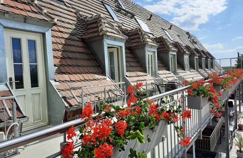 Senftenberg House | Zimmer 2 - Seenland-oase Reppist