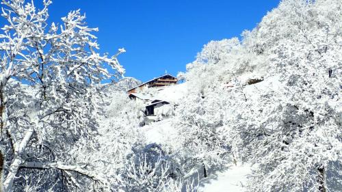 Mehrn Apartment | Zirbenchalet Obergruben