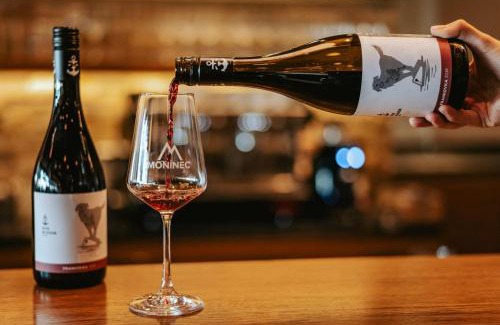 Milicin Apartment | Zlaté slunce, apartmán 150m2, až 12 osob