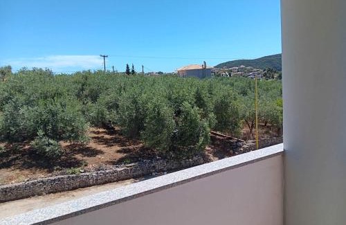 Igoumenitsa Apartment | ZOGRAFOS SPIROS Rooms