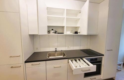 Gewerbeschule Apartment | Zurich City Center Apartments next to Zurich HB Main Train Station LA