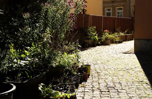 Mickten Apartment | Zwei Zimmer in bestehender WG