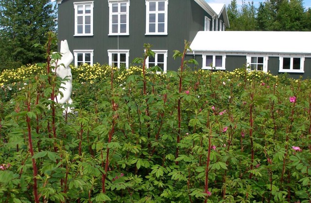 Ásaskóli
