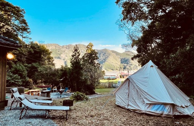 ワイルドライフ 森風