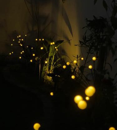 شاليه ارجان الطائف