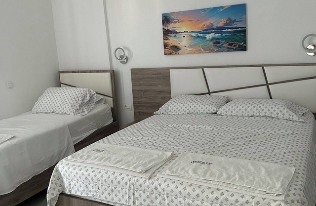 1 bedroom apartment with balcony - Apartments Subashi room 302
