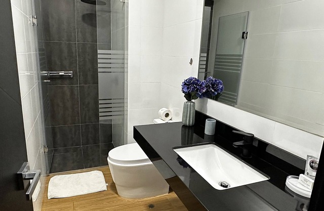 1 bedroom Executive Apartment Business Area San Isidro Near Lima Golf Club