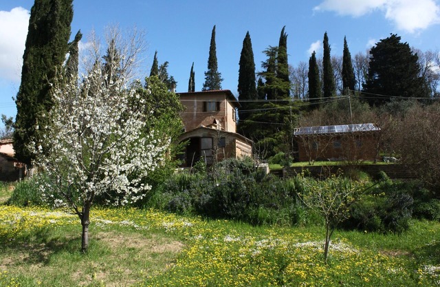 1 Bedroom Bed & breakfast in San Pietro Belvedere