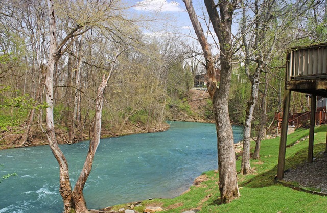 1 Mile From Pigeon Forge Parkway-River Front Cottage-Fishing year round-One story