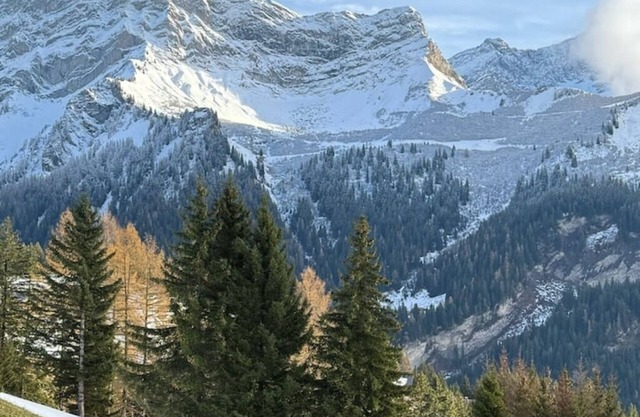 132.256 Elegant studio Alpe des Chaux