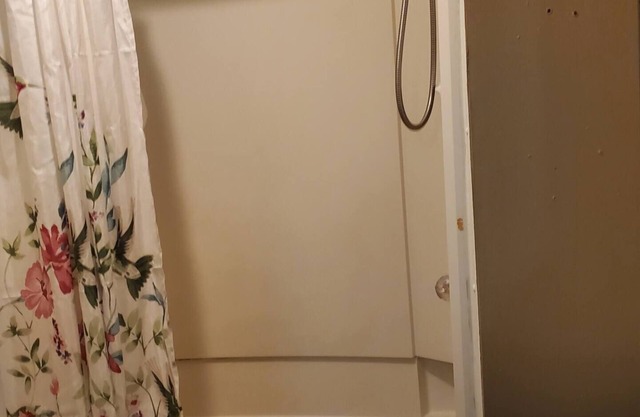 1st Floor Apartment