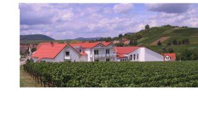 2-bed apartment "2" - Weingut-Gästehaus Hans Dieter Bosch