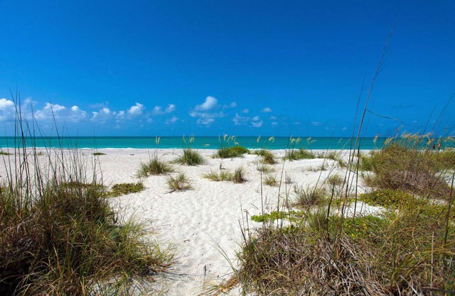 2 Bedrooms on the beach!