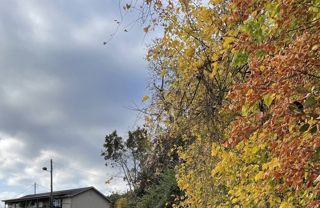 ~ 2 ~ Cost Effective Inn Close To Red River Gorge