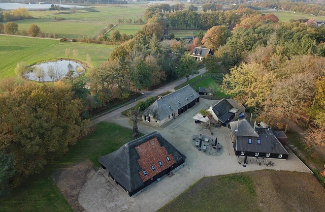 2 luxury accommodations near the forest
