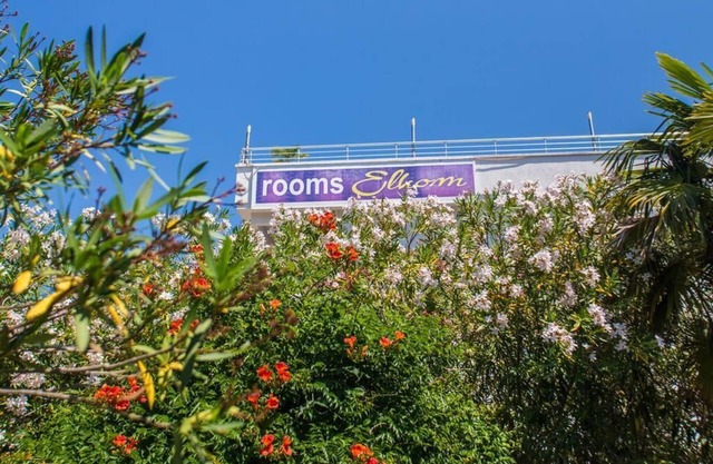 2 Room Apartment,red,500 Meter from "Grate Beach". for 5 People,Breakfast incl.