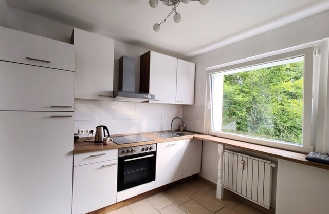 2 room apt. at Schillerteich near VW/clinic/center