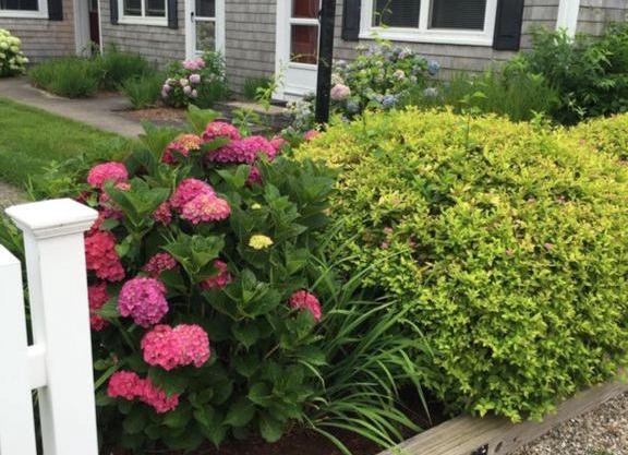 200 Captain Chase Road Dennis Port Cape Cod - - Beach Retreat II