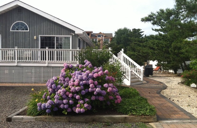 200 feet to the ocean on a private lane sits this wonderful 4 bedroom ranch