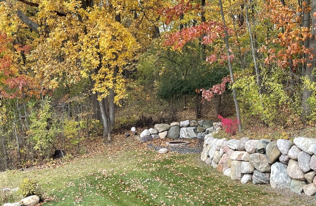 2BR Family-Sized Lower Suite with Private Entrance & Big Backyard. Pet-Friendly!