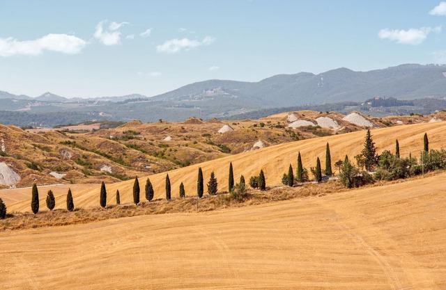 3 bedroom accommodation in Rapolano Terme