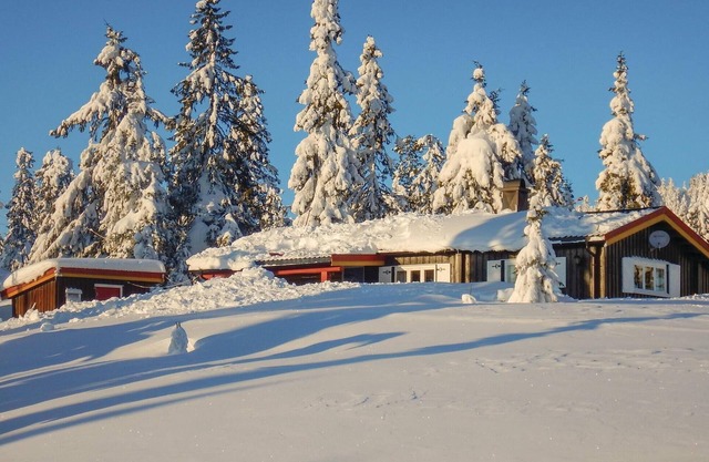 3 bedroom stunning home in Sjusjøen
