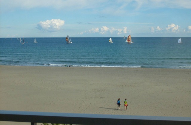 3-room apartment facing the sea 4 to 6 people 2 bedrooms Very pleasant parking