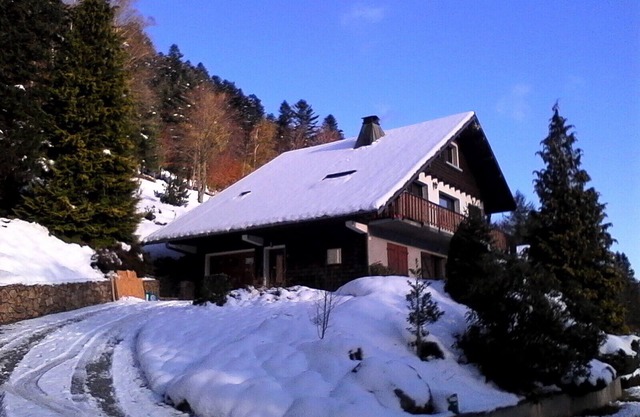 3-room apartment in "Les Pommes de Pin" chalet, with terrace and garden