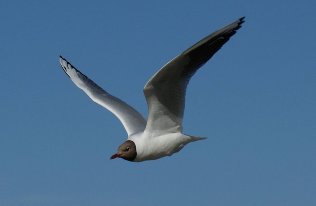 4 * apartment to feel good, 5min z. Beach - Terrace - Wi-Fi - Sauna