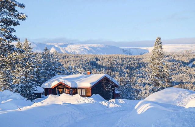 4 bedroom stunning home in Särna