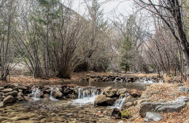 4 BR/4BA En suite Cozy Creekside ~ Mountain Views ~ Hot Tub ~ Fishing ~ Wildlife