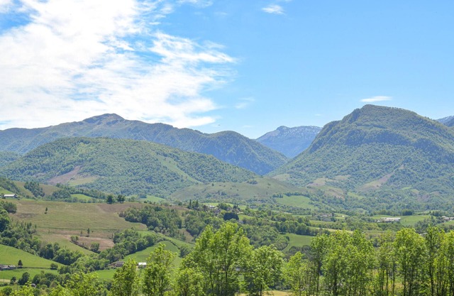 5 bedroom accommodation in Aramits